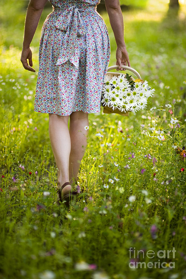 Woman Walking Through A Wild Flower Meadow With A Basket Of Flow #1 Photograph by Lee Avison