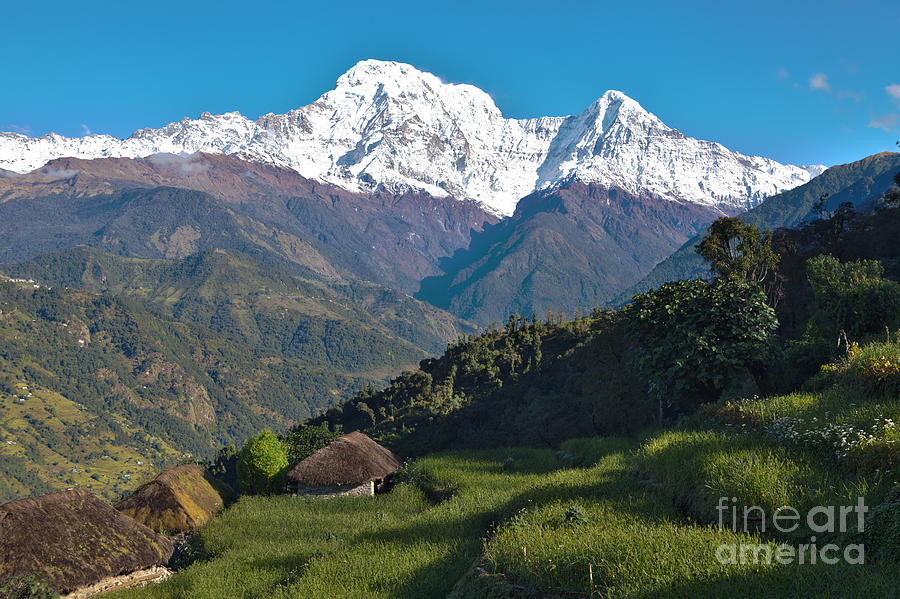 Wonderful views of Holy Annapurna South photo by Artmif #1 Photograph by Raimond Klavins