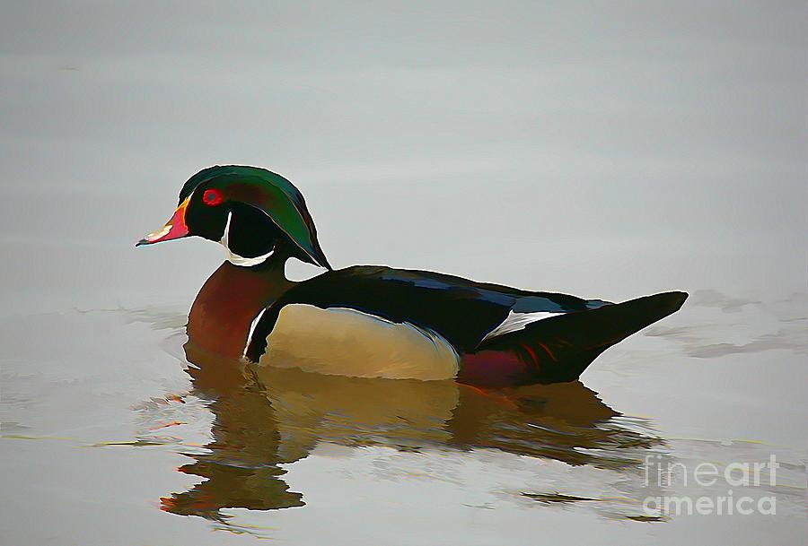 Wood Duck #1 Photograph by Robert Pearson
