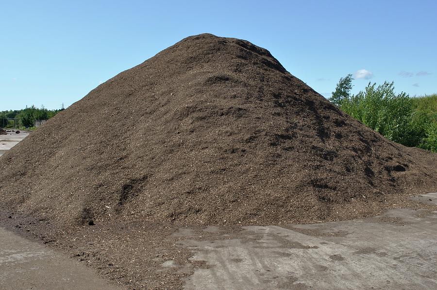 Wood For Biomass Power Plant Photograph by Robert Brook/science Photo ...