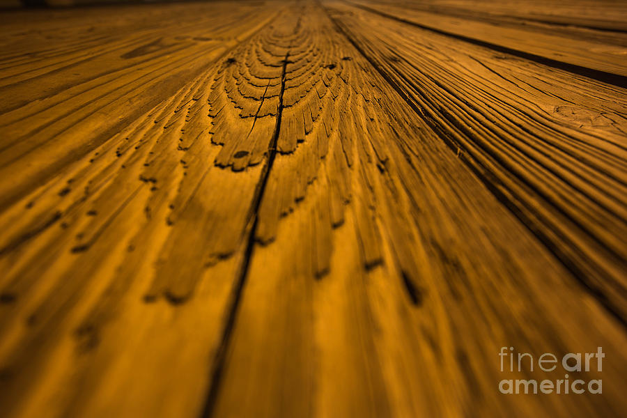 Wood #1 Photograph by Mina Isaac