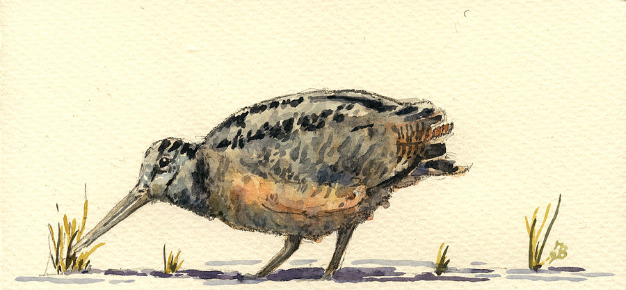 Woodcock Painting - Woodcock #1 by Juan  Bosco