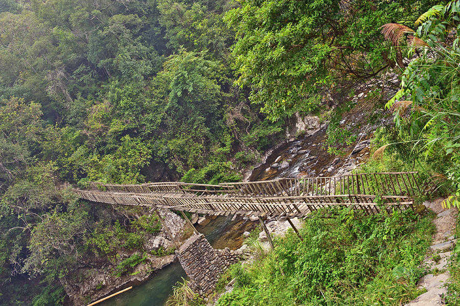 Wooden Bridge in the forest Guilin mountains China #1 Photograph by Marek Poplawski