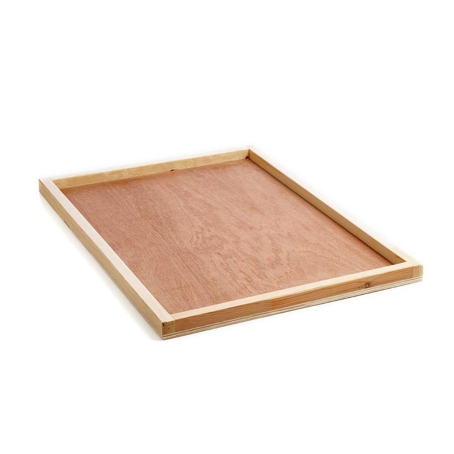 Wooden Dissection Tray #1 Photograph by Science Photo Library