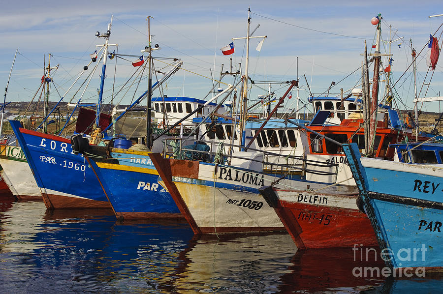 Wooden Fishing Boats In Harbor, Chile Photograph by John Shaw