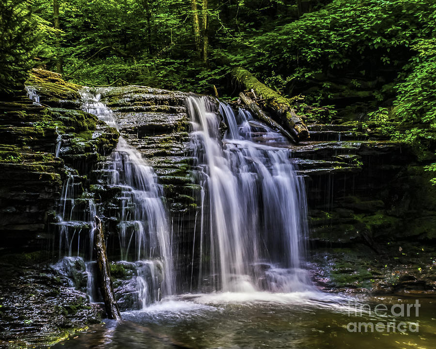 Woodland Waterfall #1 Photograph by Nick Zelinsky Jr