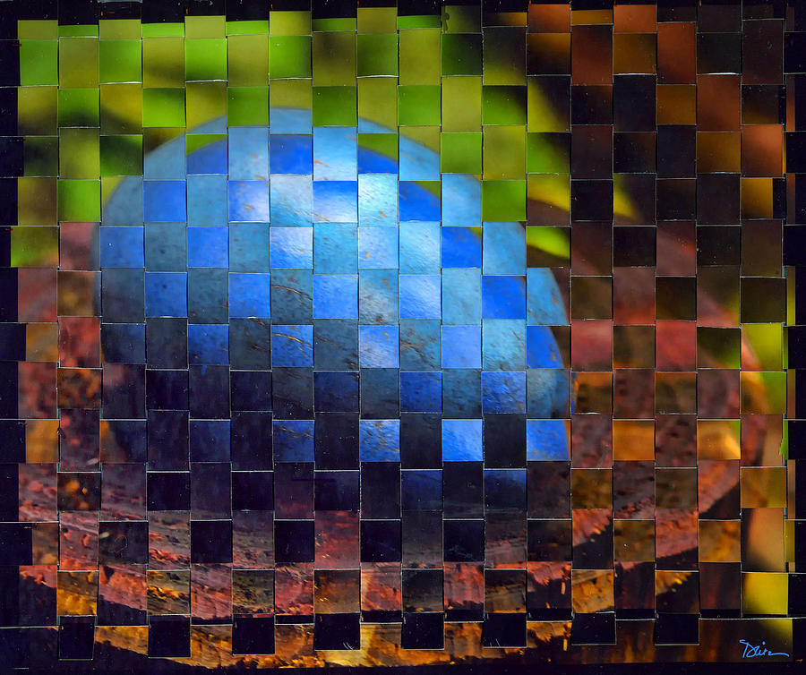 Woven Orb #1 Photograph by Peggy Dietz
