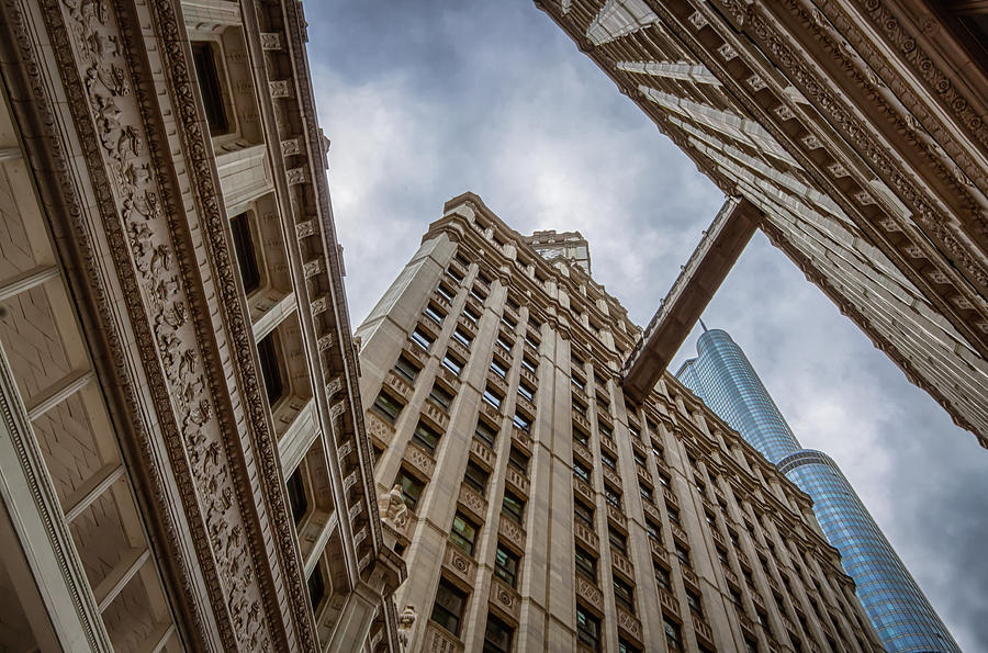 Wrigley And Trump Photograph By Mike Burgquist