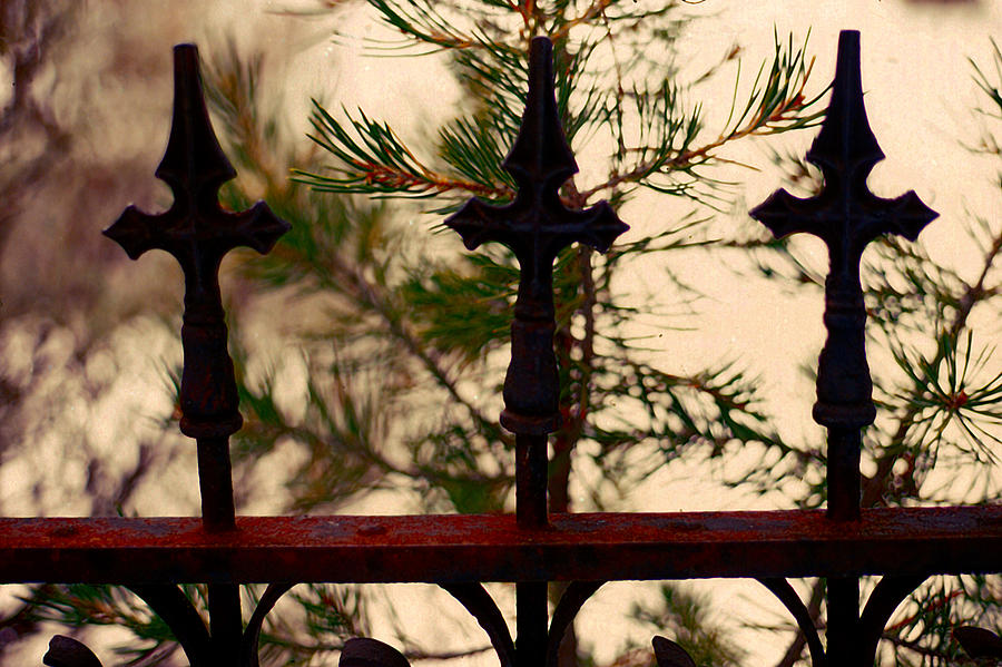 Wrought Iron Fence #1 Photograph by Cathy Anderson