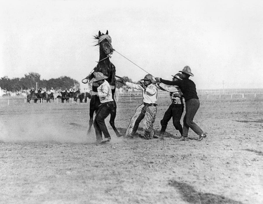 Wyoming Rodeo, C1910 #1 Photograph by Granger