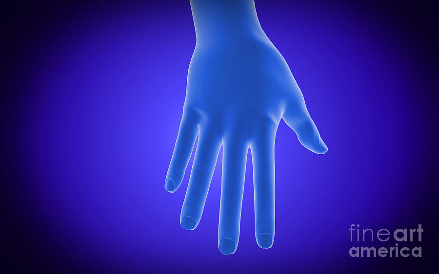 X-ray View Of Human Hand Digital Art
