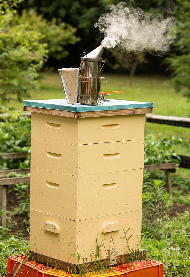 Yellow Bee Hive With Smoker Photograph