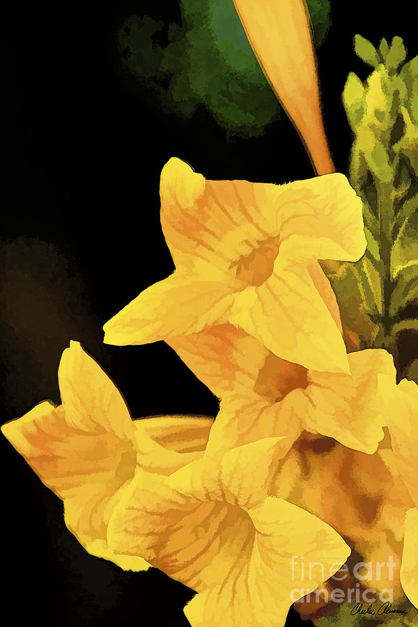 Yellow Bells 2 Photo Painting Photograph by Charles Abrams