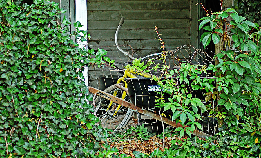 Yellow Bicycle #1 Photograph by Linda Brown