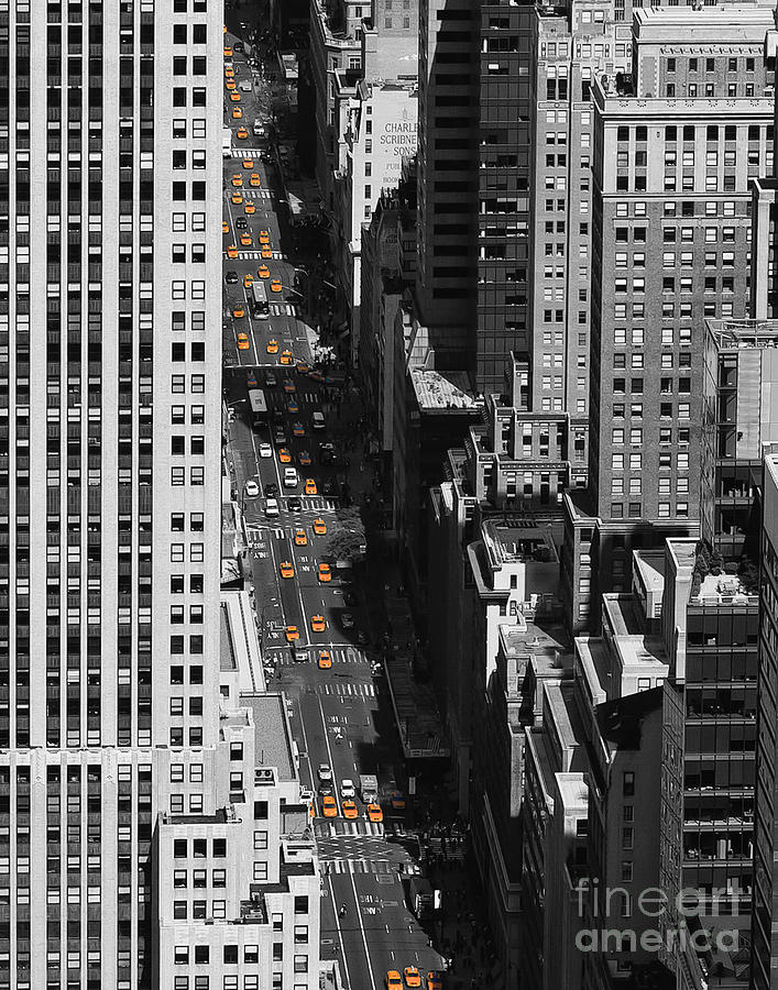 Yellow Cabs on Fifth Avenue #1 Photograph by Henk Meijer Photography