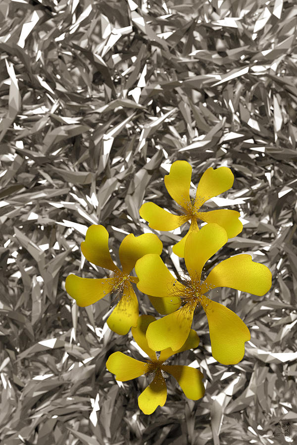 Yellow Flowers #1 Digital Art by Matthew Lindley
