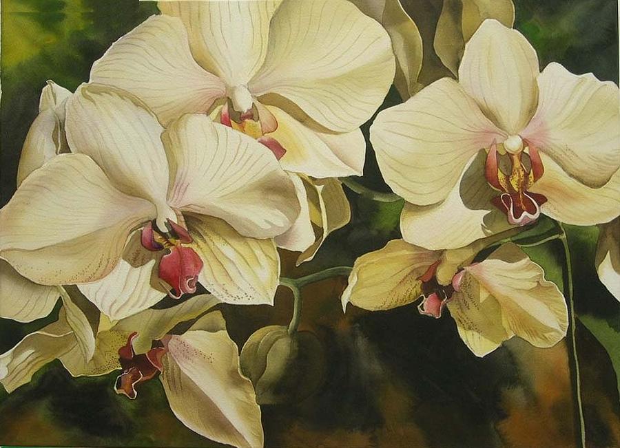 Картины с орхидеей