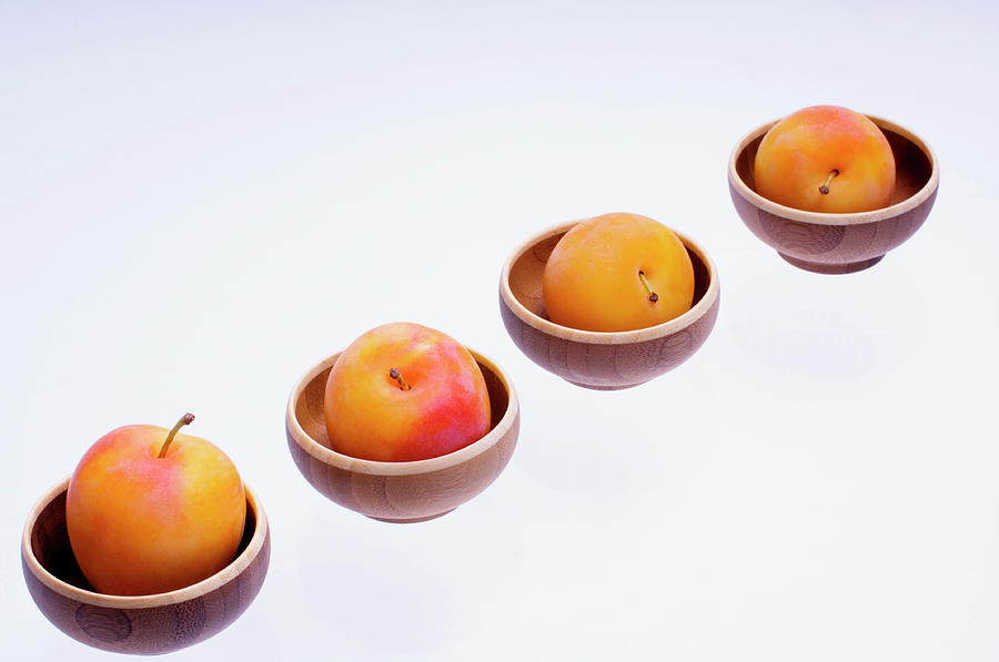 Yellow Plums (prunus Hybrid) #1 Photograph by Maria Mosolova/science Photo Library