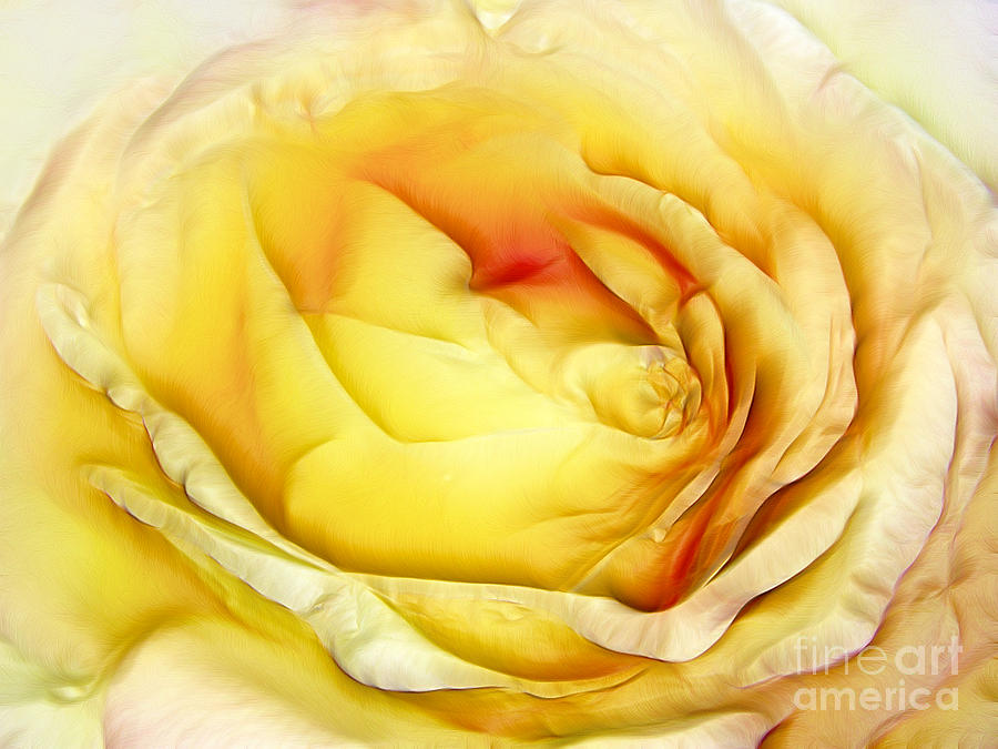 Yellow rose flower Digital Art by Odon Czintos | Fine Art America