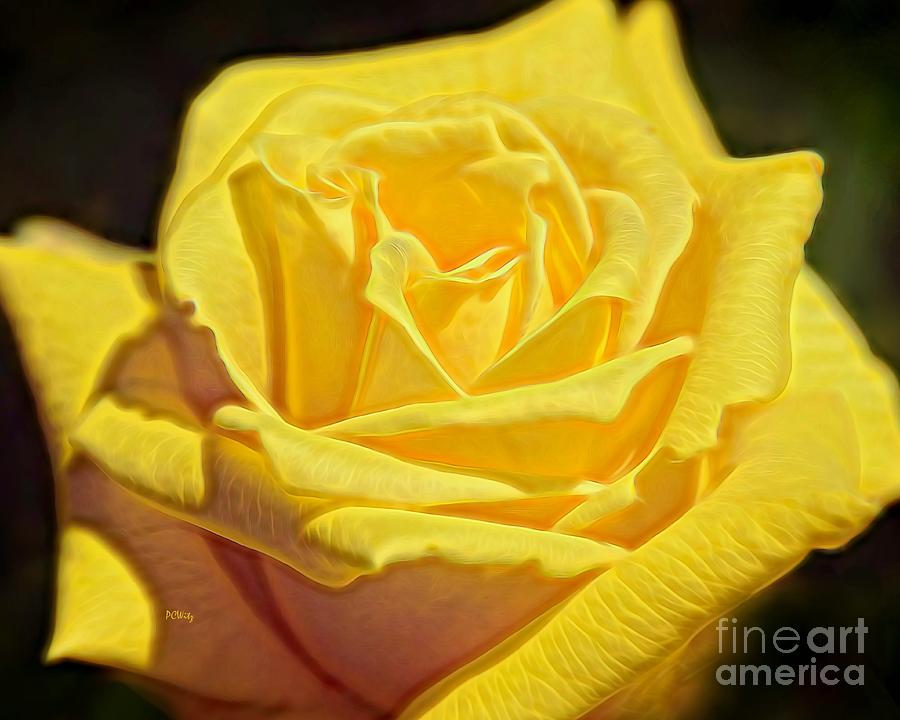 Yellow Rose #2 Photograph by Patrick Witz
