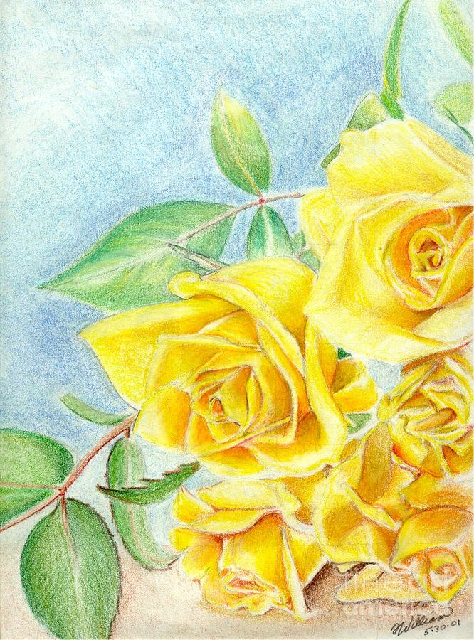 Yellow Roses #1 Drawing by Bill Richards
