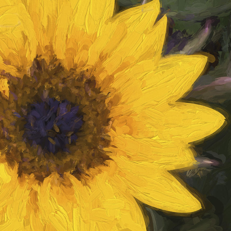Sunflower Digital Art - Yellow Sunflower Painterly #2 by Carol Leigh