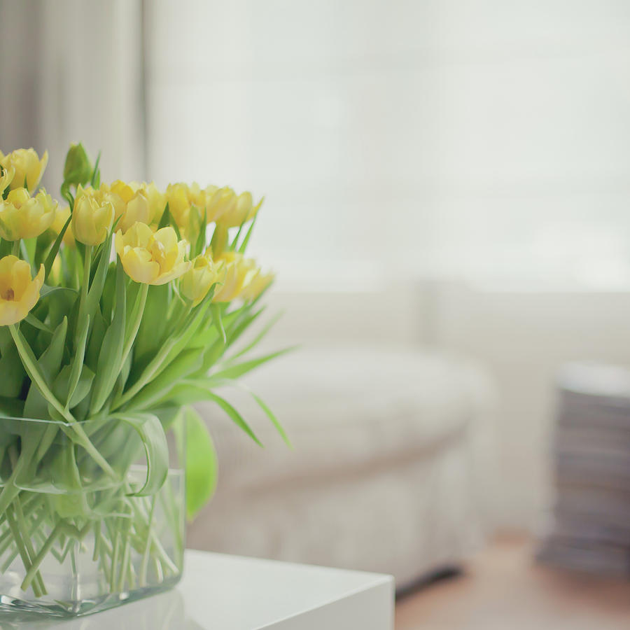 Yellow Tulips #1 Photograph by Cindy Prins