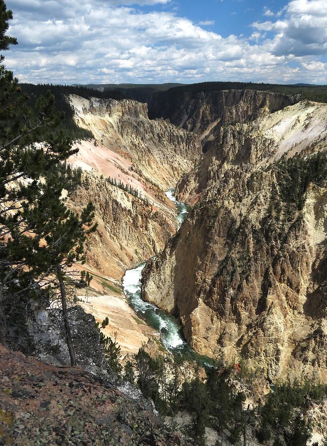 Yellowstone Canyon #1 Photograph by Laurel Powell