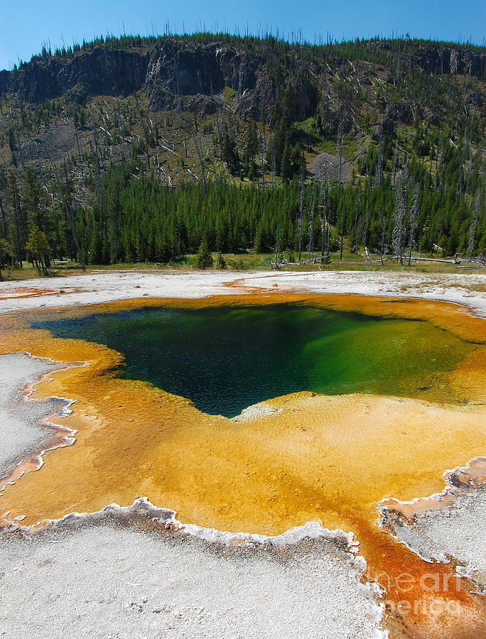 Yellowstone Emerald Pool #1 Photograph by Debra Thompson