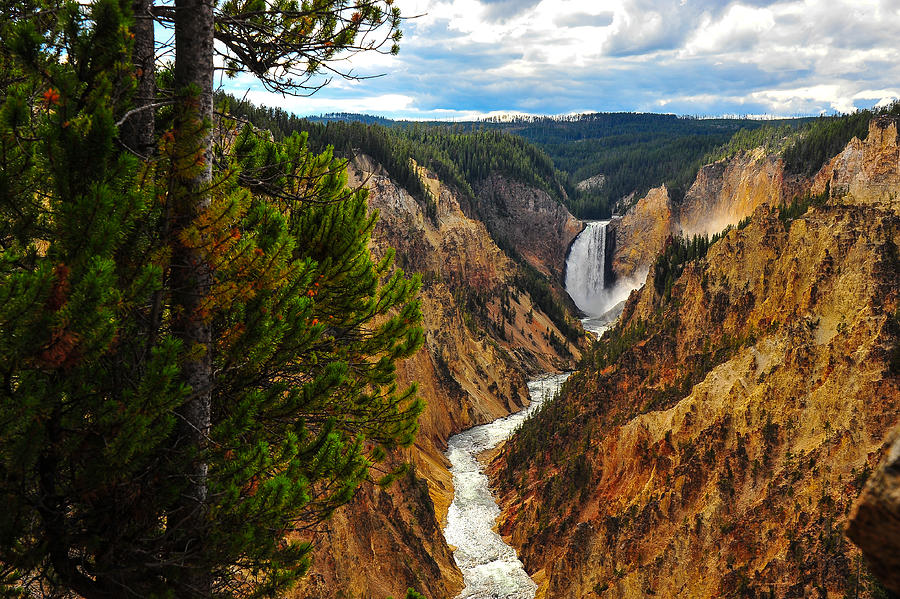 Yellowstone Falls Panorama Photograph by Harry Spitz