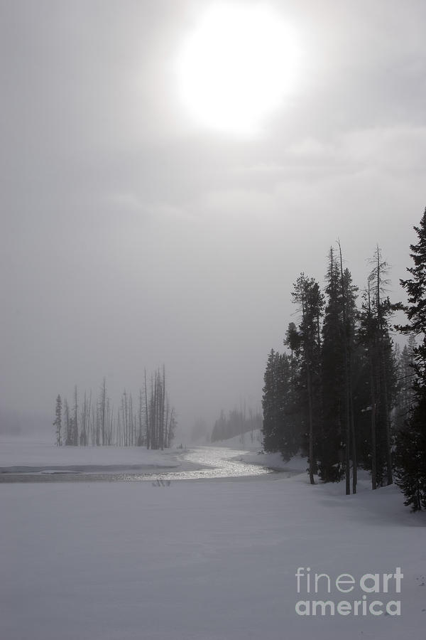 Yellowstone in Winter #1 Photograph by Jim West