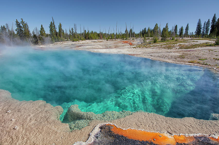 Yellowstone National Park #1 Photograph by Patrick Leitz