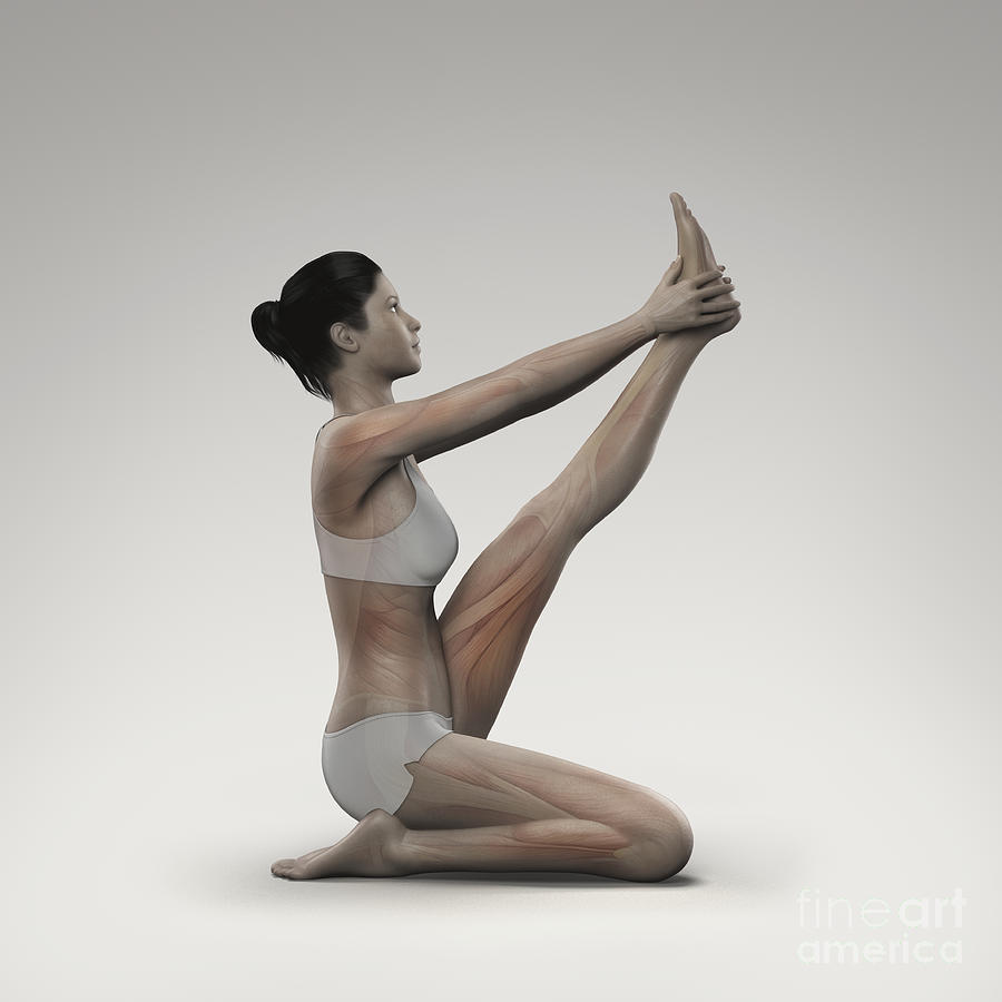 Woman doing krounchasana. Female yogi in heron pose. Intense hamstring  stretch. Lady with leg up and hands holding foot. Flat vector  illustration:: tasmeemME.com