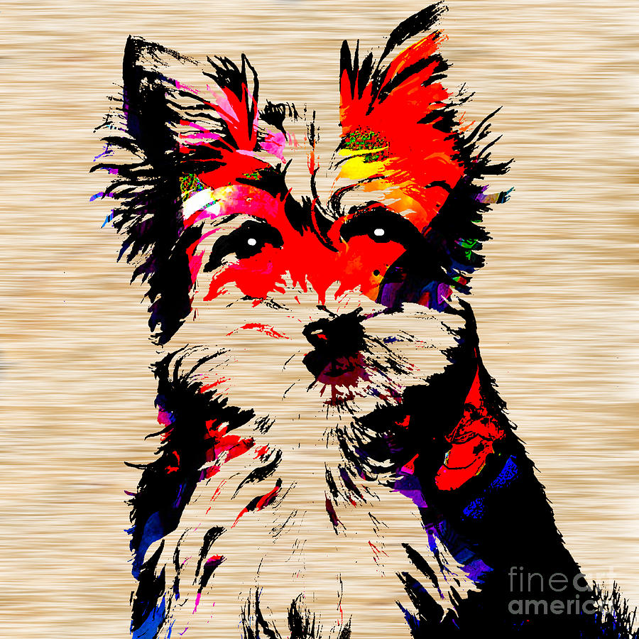 Yorkshire Terrier #1 Mixed Media by Marvin Blaine