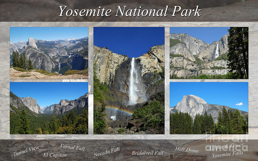 Yosemite Collage Photograph by Debra Thompson