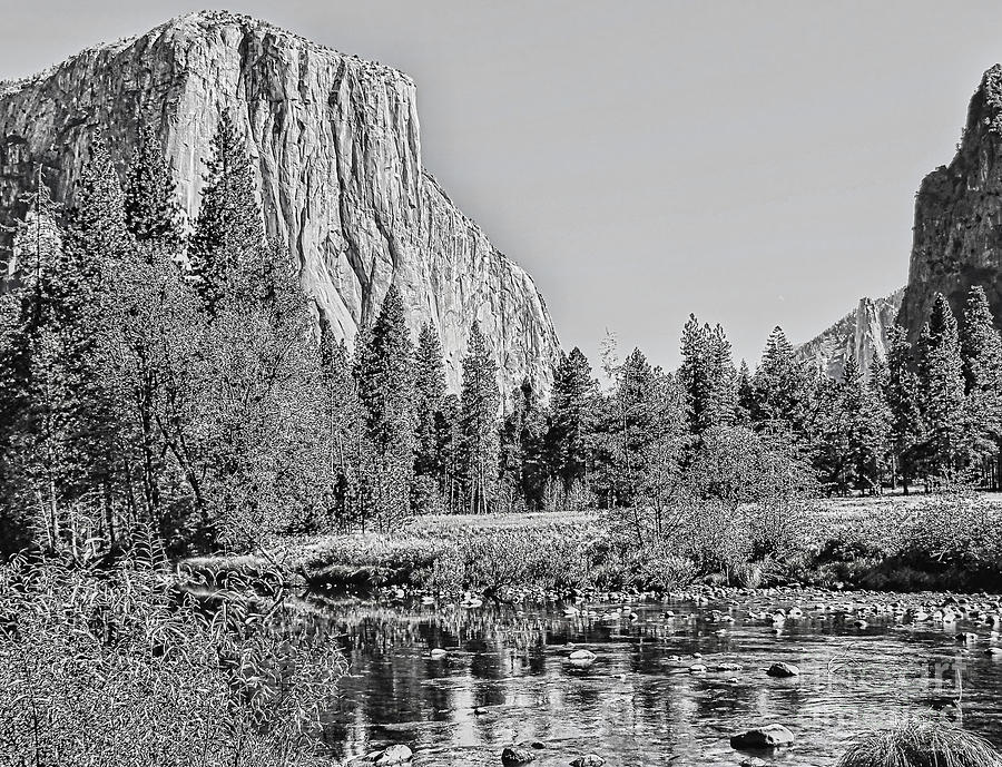 Yosemite National Park Photograph - Yosemite in Black and White #1 by Stephanie Laird