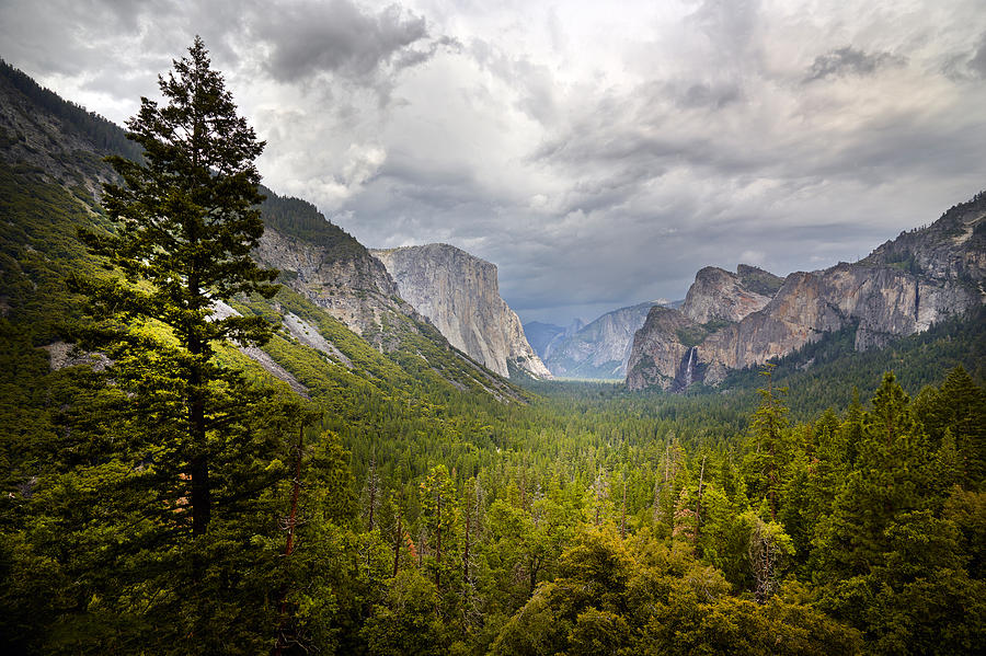 Yosemite National Park #2 Photograph by Carol M Highsmith