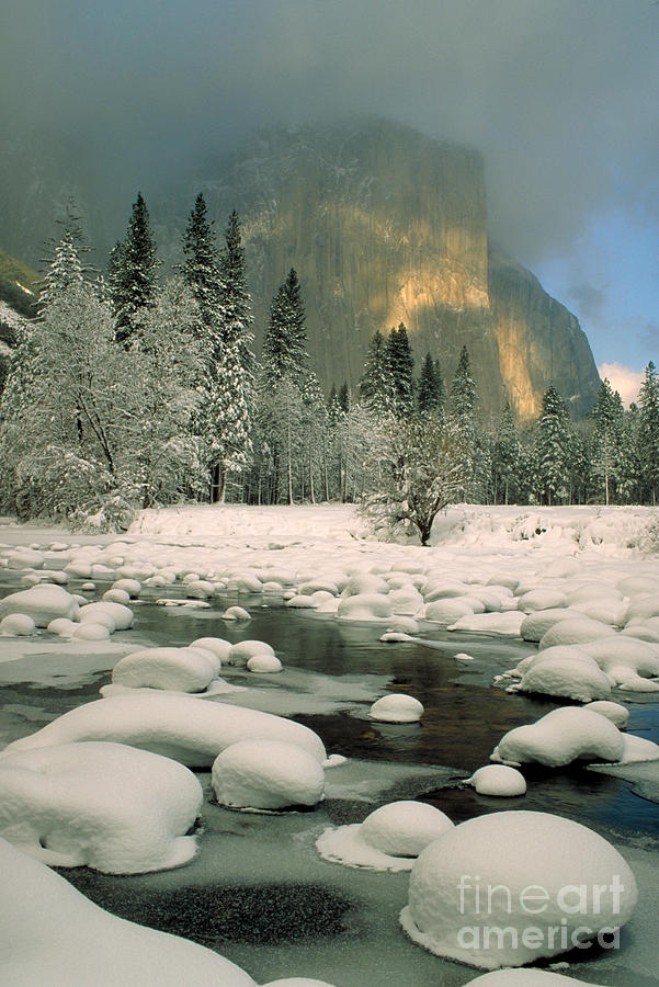 Yosemite National Park Photograph - Yosemite National Park #2 by George Ranalli