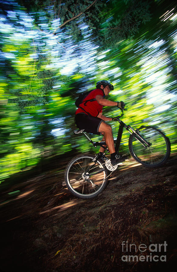 Young man mountain biking in a forest Stowe VT USA #1 Photograph by Don Landwehrle