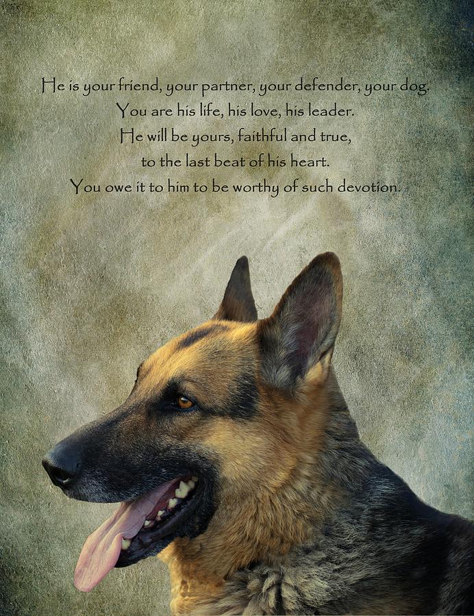 Dog Photograph - Your Friend Your Partner Your Defender by David Dehner