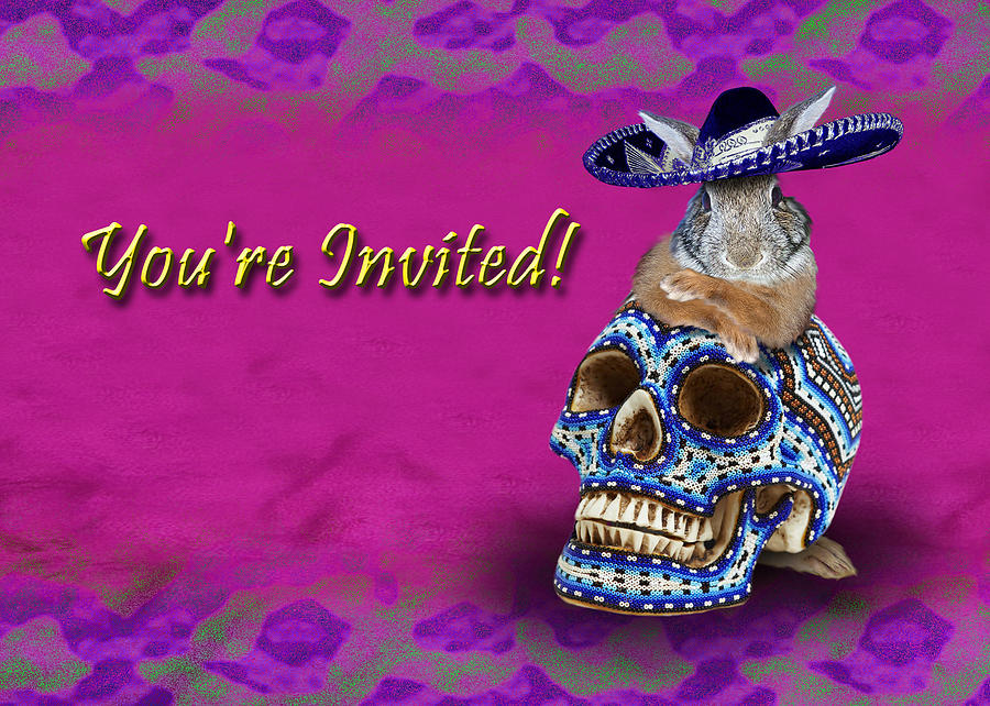Candy Photograph - Youre Invited Bunny Rabbit #1 by Jeanette K