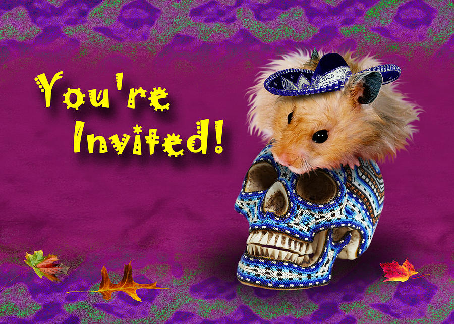 Candy Photograph - Youre Invited Hamster #1 by Jeanette K
