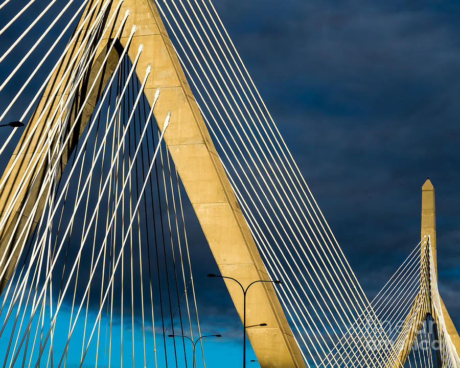 Zakim Bridge in Gold #2 Photograph by Susan Cole Kelly