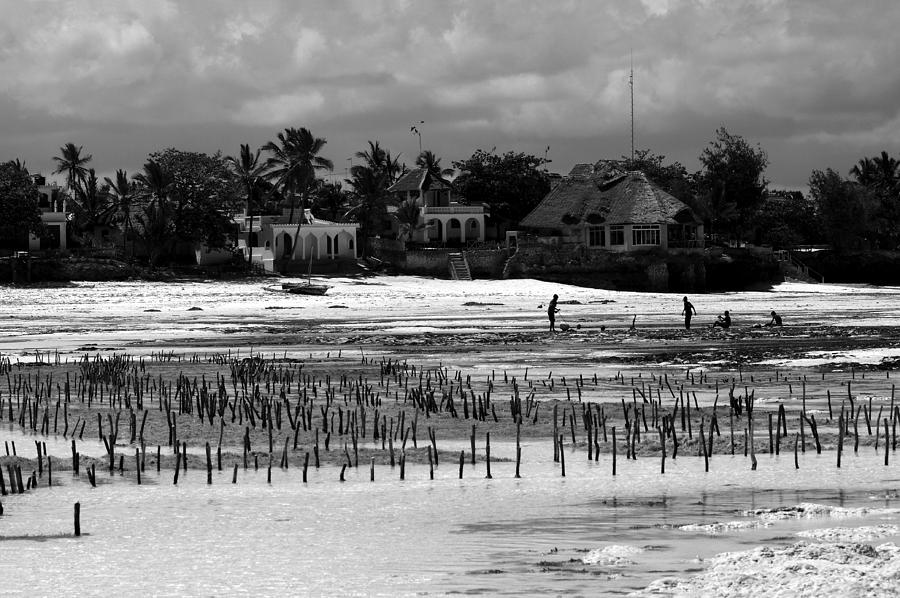 Zanzibar Island  #2 Photograph by Aidan Moran