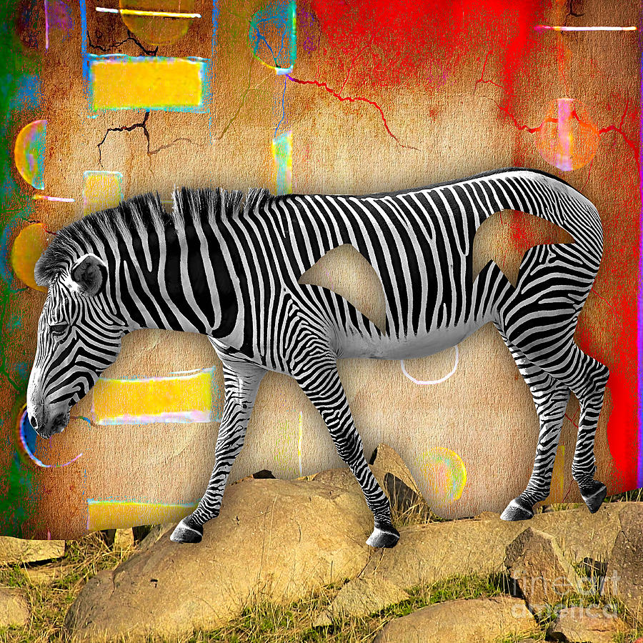 Zebra Mixed Media - Zebra Collection #5 by Marvin Blaine