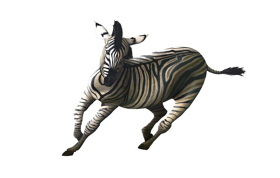 Animal Photograph - Zebra Galloping #1 by Mark Garlick