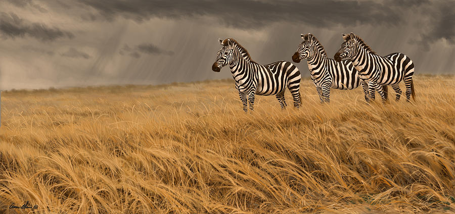 Zebra Trio #2 Digital Art by Aaron Blaise