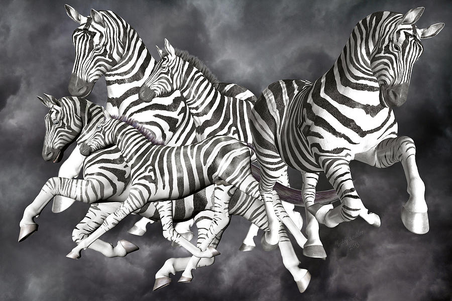Zebra Digital Art - Zebras  #1 by Betsy Knapp