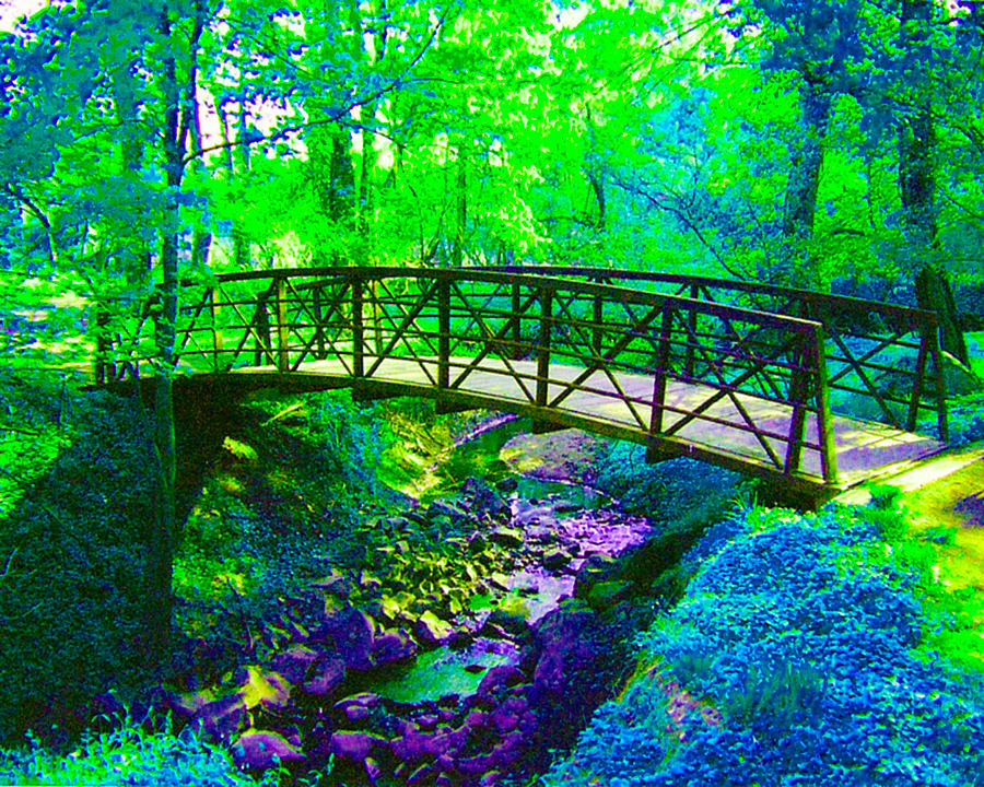 Nature Digital Art - Zen Bridge #1 by Linda N  La Rose