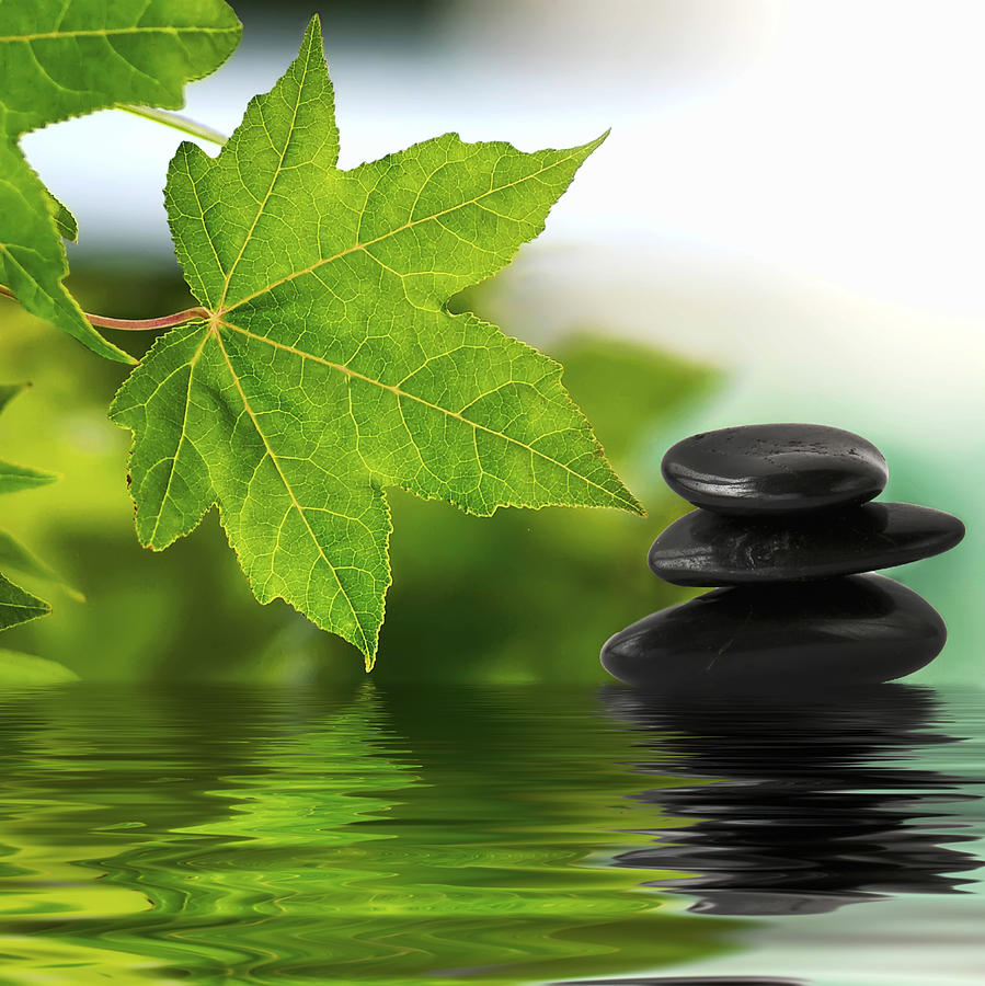 Zen stones pyramid on water surface, green leaves over it Poster